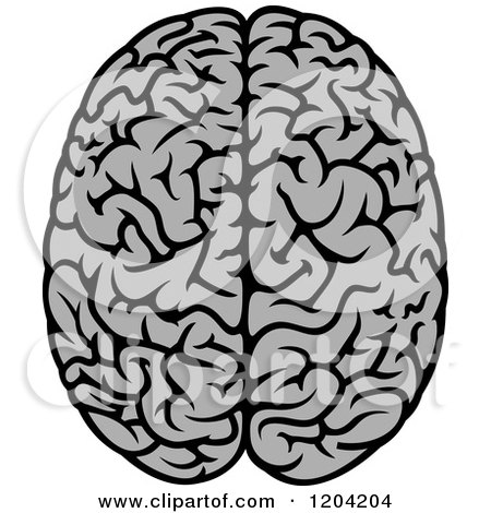Clipart of a Gray Human Brain 3 - Royalty Free Vector Illustration by Vector Tradition SM