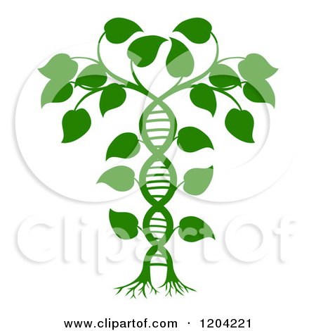 Cartoon of a Green DNA Double Helix Plant - Royalty Free Vector Clipart by AtStockIllustration