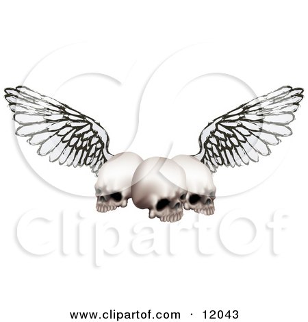 Three Human Skulls With Grunge Wings Clipart Illustration by AtStockIllustration