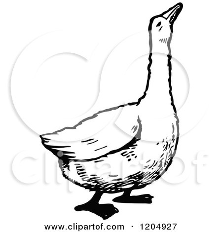 Clipart of a Vintage Black and White Goose - Royalty Free Vector Illustration by Prawny Vintage