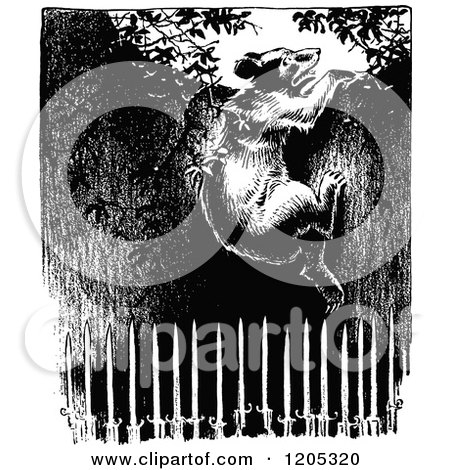 Clipart of a Vintage Black and White Bear Trying to Escape a Pit - Royalty Free Vector Illustration by Prawny Vintage