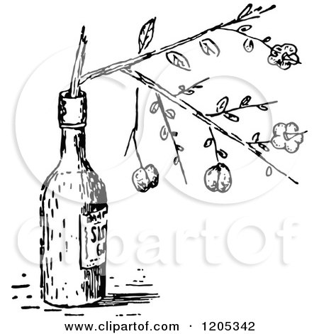 Clipart of a Vintage Black and White Sloe - Royalty Free Vector Illustration by Prawny Vintage