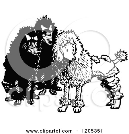 Cartoon of a Vintage Black and White Trio of Poodles - Royalty Free Vector Clipart by Prawny Vintage