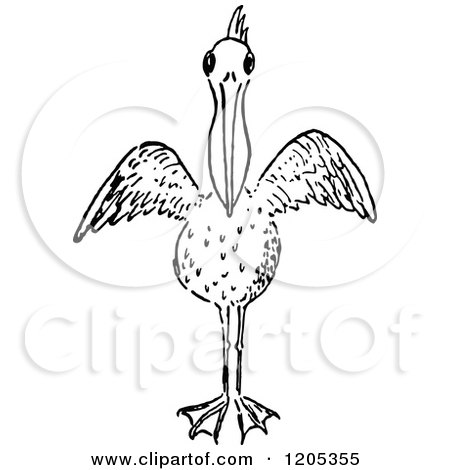 Clipart of a Vintage Black and White Pelican - Royalty Free Vector Illustration by Prawny Vintage