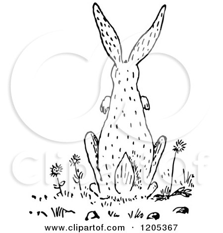 Clipart of a Vintage Black and White Rear View of a Rabbit - Royalty Free Vector Illustration by Prawny Vintage