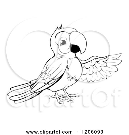 Cartoon of a Black and White Presenting Parrot - Royalty Free Vector Clipart by AtStockIllustration