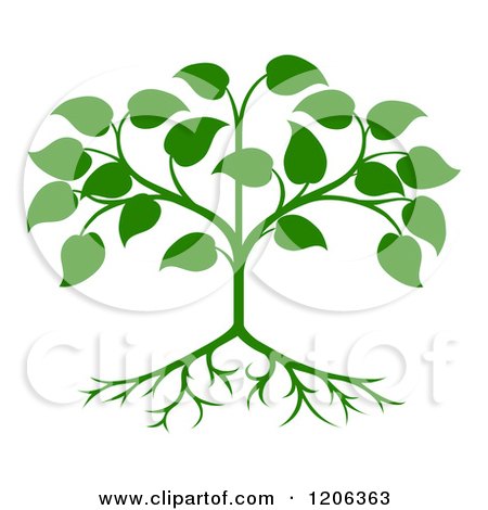 Clipart of a Green Seedling Tree with Leaves and Roots - Royalty Free Vector Illustration by AtStockIllustration