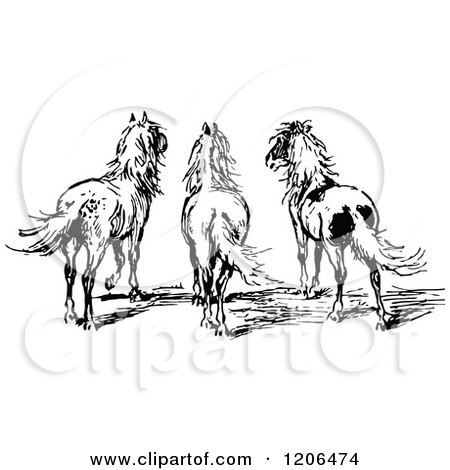 Clipart of a Vintage Black and White Rear View of Three Ponies - Royalty Free Vector Illustration by Prawny Vintage