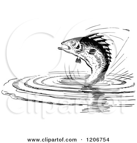 Clipart of a Vintage Black and White Fish Jumping from Water - Royalty Free Vector Illustration by Prawny Vintage