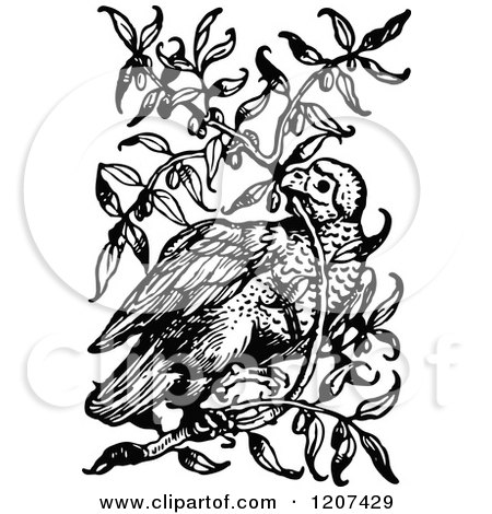 Clipart of a Vintage Black and White Bird in a Bush - Royalty Free Vector Illustration by Prawny Vintage