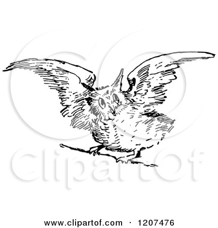 Clipart of a Vintage Black and White Owl Taking Flight - Royalty Free Vector Illustration by Prawny Vintage