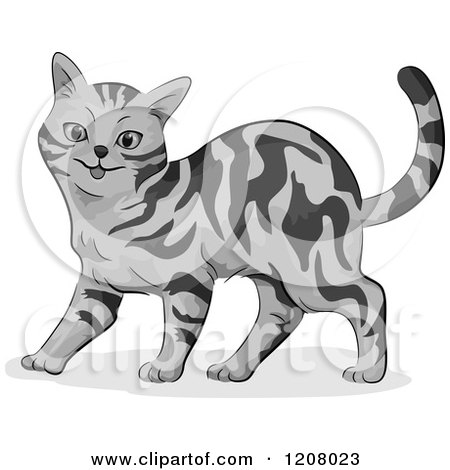 Cartoon of a Cute Gray Tabby American Shorthair Cat - Royalty Free Vector Clipart by BNP Design Studio