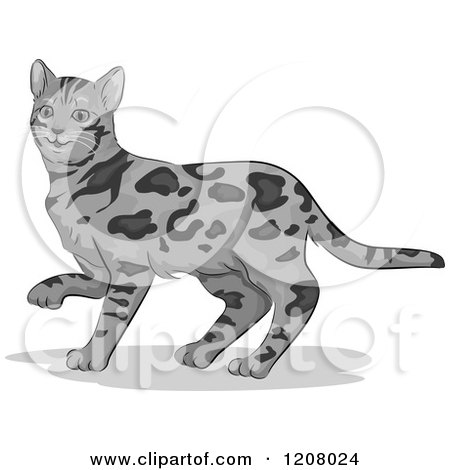 Cartoon of a Cute Bengal Cat - Royalty Free Vector Clipart by BNP Design Studio
