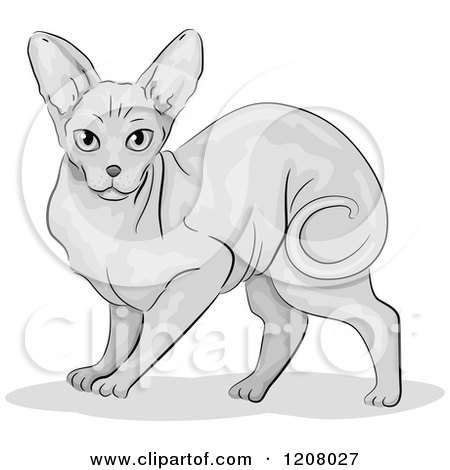 Cartoon of a Cute Sphynx Cat - Royalty Free Vector Clipart by BNP Design Studio