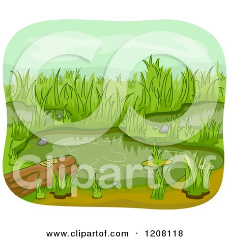 Cartoon of a Wetland Pond with a Log - Royalty Free Vector Clipart by BNP Design Studio