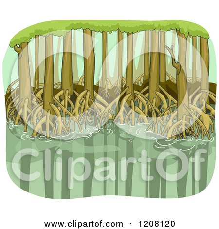 Cartoon of a Mangrove Swamp with Visible Roots - Royalty Free Vector Clipart by BNP Design Studio