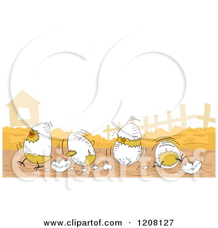 Cartoon of a Row of Hatching Chicks on a Farm - Royalty Free Vector Clipart by BNP Design Studio