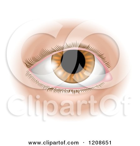Cartoon Of A Human Eye - Royalty Free Vector Clipart by AtStockIllustration