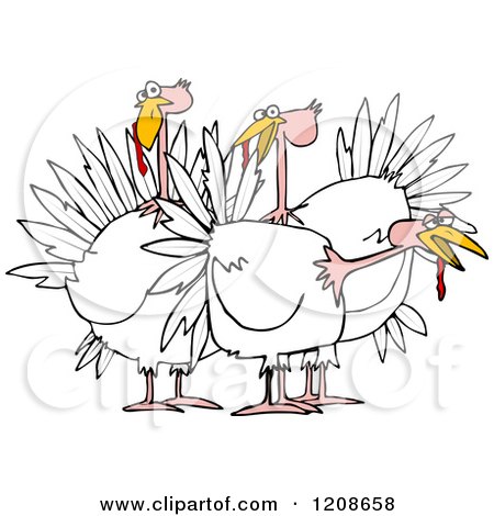 Cartoon of a Small Flock of White Turkeys - Royalty Free Vector Clipart by djart