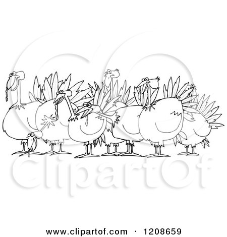 Cartoon of an Outlined Flock of Turkeys - Royalty Free Vector Clipart by djart