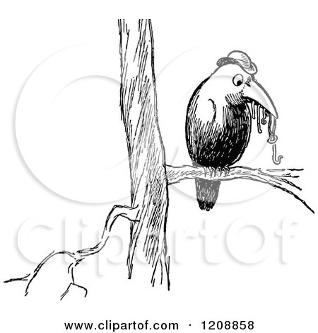 Clipart of a Vintage Black and White Worm Bird on a Branch - Royalty Free Vector Illustration by Prawny Vintage