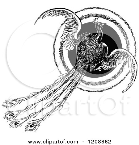 Clipart of a Vintage Black and White Flying Peacock and Circle - Royalty Free Vector Illustration by Prawny Vintage