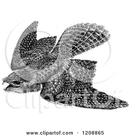 Clipart of a Vintage Black and White Great Potoo Bird - Royalty Free Vector Illustration by Prawny Vintage