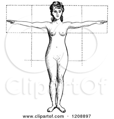 Clipart of a Vintage Black and White Anatomy of Female Proportions - Royalty Free Vector Illustration by Prawny Vintage