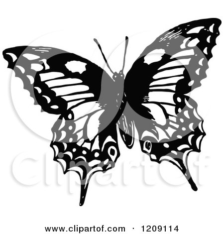 Clipart of a Vintage Black and White Butterfly - Royalty Free Vector Illustration by Prawny Vintage