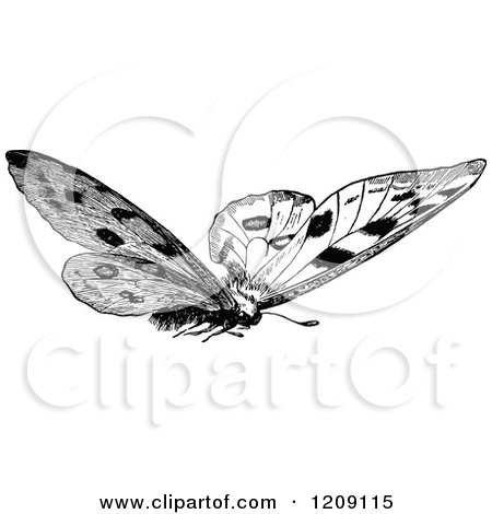 Clipart of a Vintage Black and White Butterfly 2 - Royalty Free Vector Illustration by Prawny Vintage