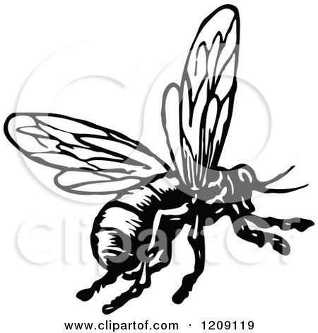 Clipart of a Vintage Black and White Flying Bee - Royalty Free Vector Illustration by Prawny Vintage