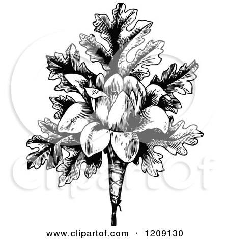 Clipart of a Vintage Black and White Flower and Leaves - Royalty Free Vector Illustration by Prawny Vintage