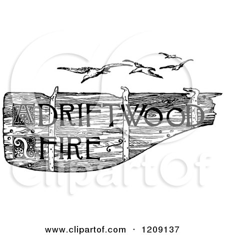 Clipart of a Vintage Black and White Driftwood Fire Sign and Seagulls - Royalty Free Vector Illustration by Prawny Vintage