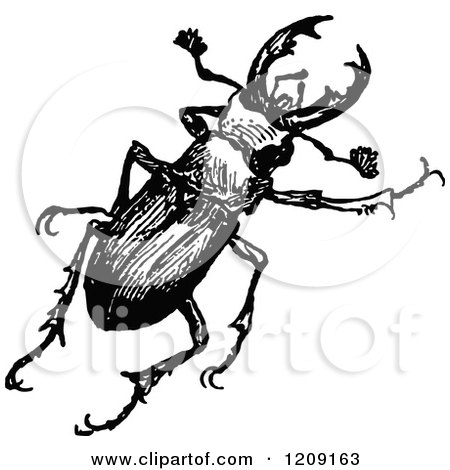 Clipart of a Vintage Black and White Stag Beetle - Royalty Free Vector Illustration by Prawny Vintage