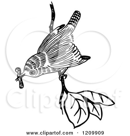 Clipart of a Black and White Bird with a Worm on a Branch - Royalty Free Vector Illustration by Prawny