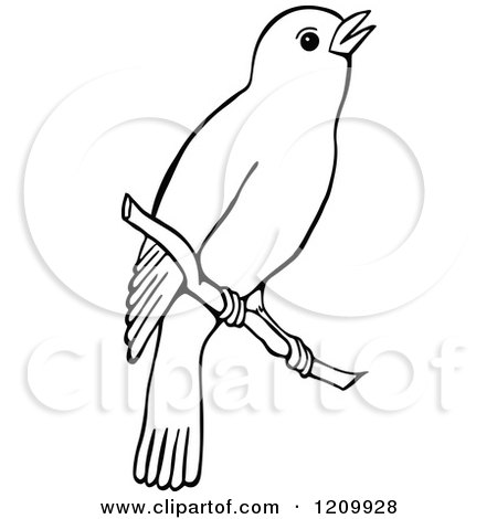 Clipart of a Black and White Bird on a Branch - Royalty Free Vector Illustration by Prawny
