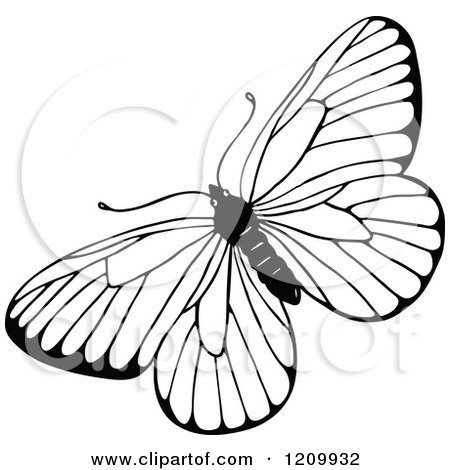 Clipart of a Black and White Butterfly - Royalty Free Vector Illustration by Prawny
