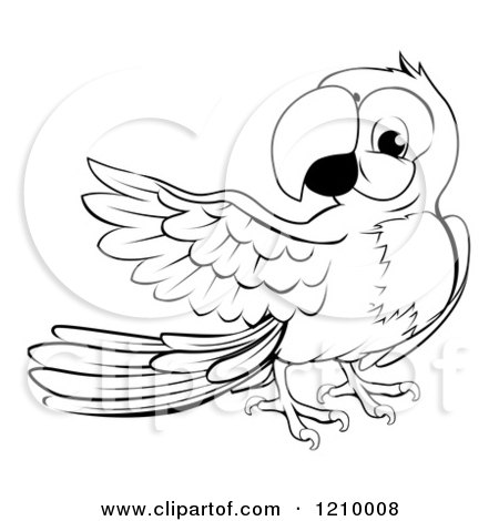 Cartoon of a Black and White Presenting Macaw Parrot - Royalty Free Vector Clipart by AtStockIllustration