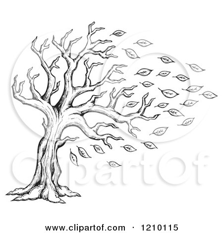 Cartoon of a Sketched Black and White Tree Being Stripped of Autumn Leaves in a Breeze - Royalty Free Vector Clipart by visekart