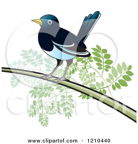 Clipart of a Perched Magpie Bird - Royalty Free Vector Illustration by Lal Perera