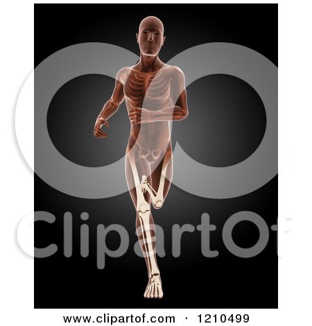 Clipart of a 3d Running Xray Man with Visible Skeleton and Highlighted Leg Bones - Royalty Free CGI Illustration by KJ Pargeter