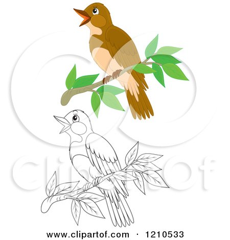 Cartoon of an Outlined and Colored Perched Bird - Royalty Free Vector Clipart by Alex Bannykh