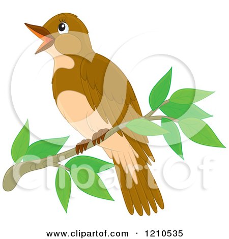 Cartoon of a Perched Bird - Royalty Free Vector Clipart by Alex Bannykh