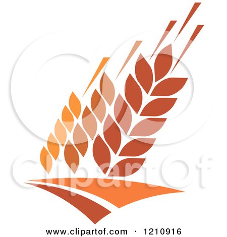 Clipart of a Whole Grain Design - Royalty Free Vector Illustration by Vector Tradition SM