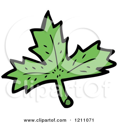 Cartoon of a Maple Leaf - Royalty Free Vector Illustration by lineartestpilot