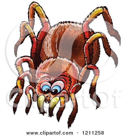 Cartoon of a Biting Spider - Royalty Free Vector Clipart by Zooco