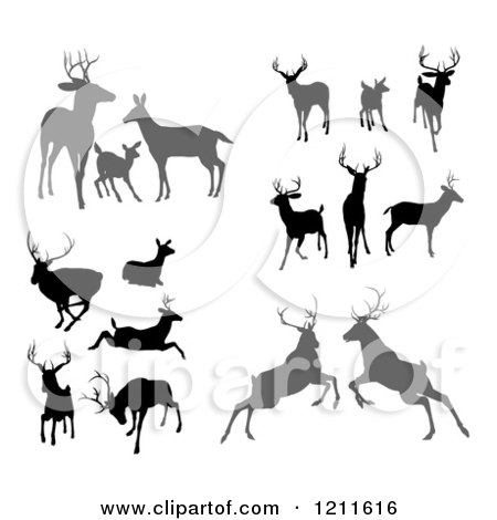 Clipart of Gray and Black Silhouetted Deer Stags Bucks Does and Fawns - Royalty Free Vector Illustration by AtStockIllustration