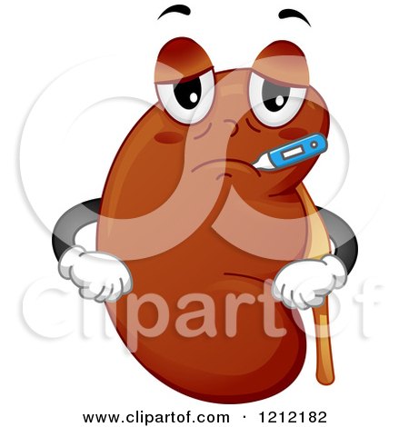 Cartoon of a Sick Kidney Organ Mascot with a Thermometer - Royalty Free Vector Clipart by BNP Design Studio