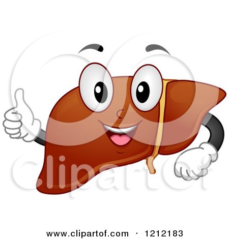 Cartoon of a Healthy Liver Organ Mascot Holding a Thumb up - Royalty Free Vector Clipart by BNP Design Studio