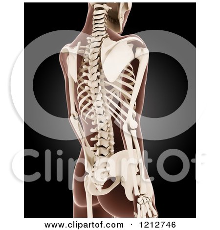 Clipart of a 3d Medical Female Xray with Visible Skeleton on Black - Royalty Free CGI Illustration by KJ Pargeter